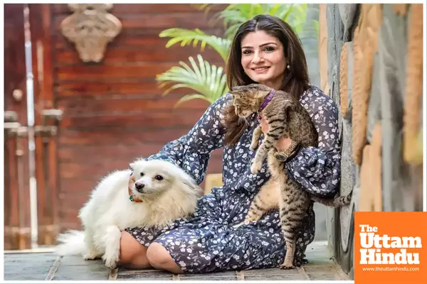 Raveena on dogs being chased away: Driving away those meant to protect us