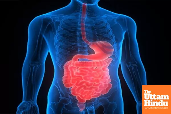 Common antibiotic shows hope for inflammatory bowel disease