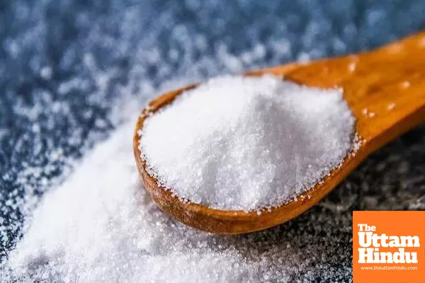 Study shows potassium-enriched salt can reduce recurrent stroke risk