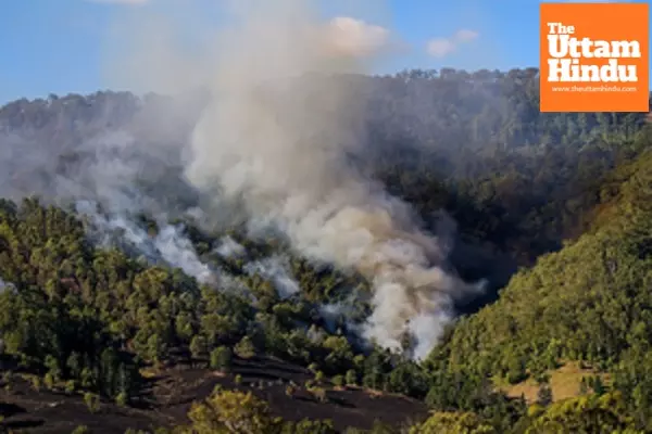 Australia: Bushfires in Tasmania pose threat to lives