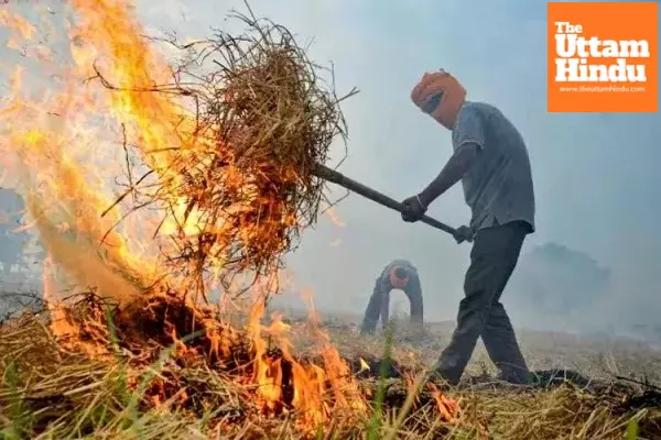 Tackling Pollution: Parliamentary Committee Proposes Bold Measures to Curb Stubble Burning