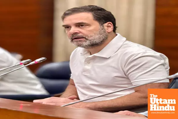 Leader of opposition Rahul Gandhi chairs a meeting of Congress Mps