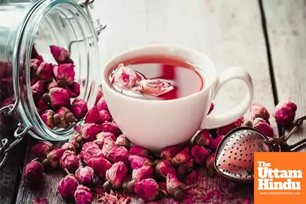 Stress relief to glowing skin: 5 incredible benefits of rose tea