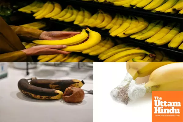 The secret to keeping bananas yellow for 15 days