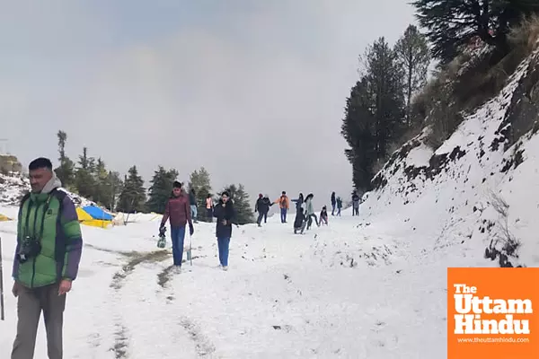 Himachal Turns Winter Wonderland! Tourist Rush Boosts Shimla-Manali Business