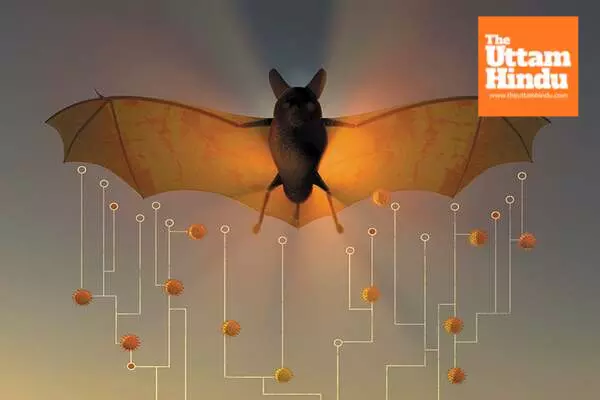 China Discovers New Bat Coronavirus with Potential Animal-to-Human Transmission