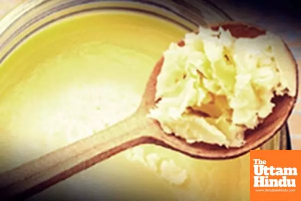 4,000 kg adulterated ghee valued at Rs 17.5 lakh seized in Gujarat