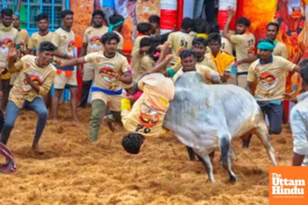 TN Minister Meyyanathan inaugurates Pudukkottai Jallikattu