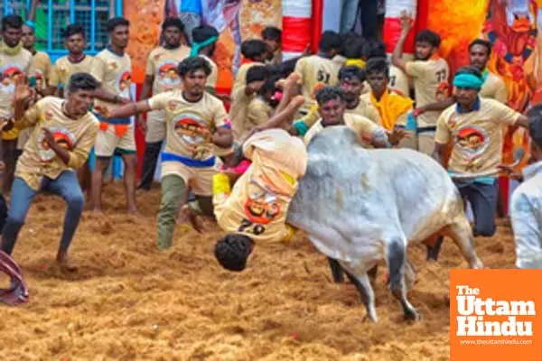 TN Minister Meyyanathan inaugurates Pudukkottai Jallikattu