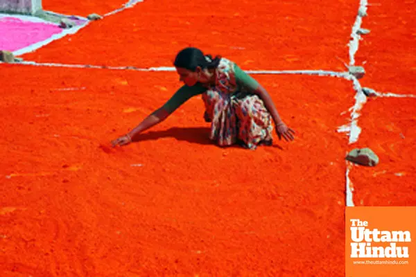 Worker prepares gulal for Holi in Nagpur