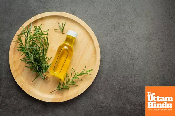 Rosemary Oil for Hair Growth: How to Use and Other Tips