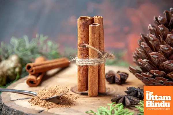 Benefits of Cinnamon for Digestion and Overall Health