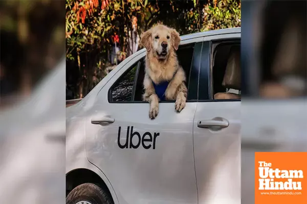 Uber Pets Launches in Delhi and Mumbai, Ensuring No Pets Are Left Behind on Rides.